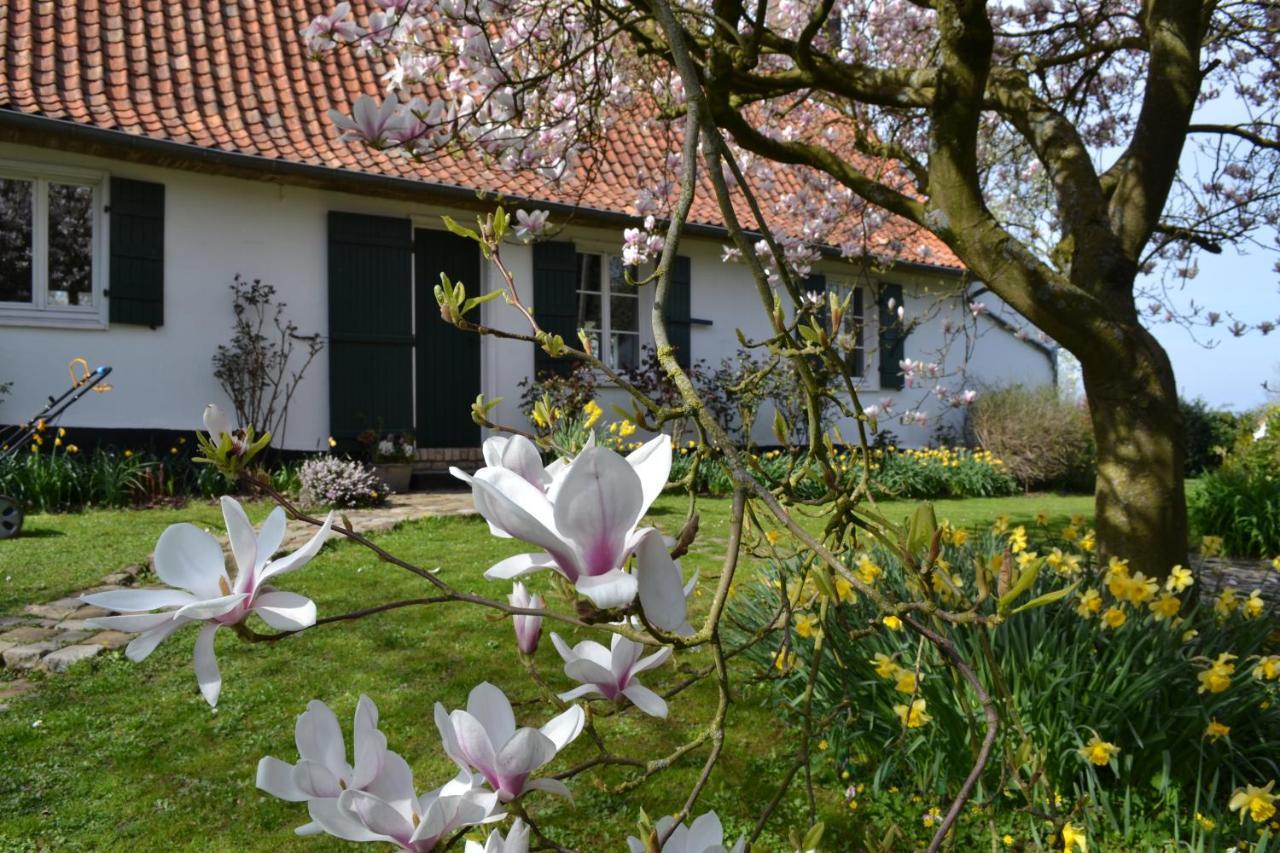 Bed and Breakfast La Longere D'Ecottes Licques Exterior foto